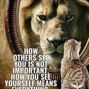 Meet your Posher, Adriane